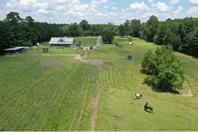 7096 Jim Burns Road, Silsbee, TX 77656 - Photo 4