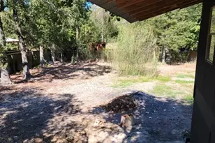 26643 Carol Ln, Splendora, TX 77372 - Photo 12