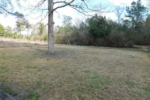 537 Roscoe, Livingston, TX 77351 - Photo 18
