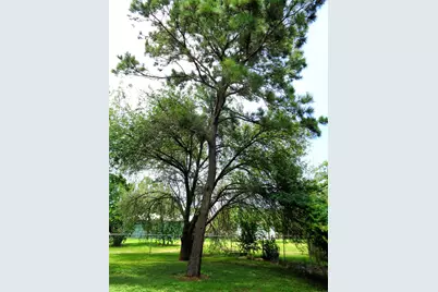 3908 20th Street N, Texas City, TX 77590 - Photo 8