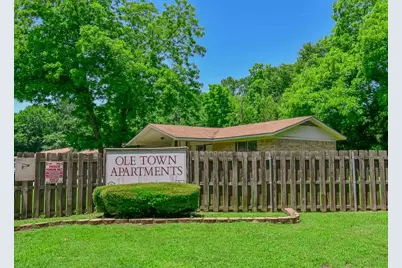 501 Martin Luther King St, Jefferson, TX 75657 - Photo 4