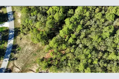 435 County Road 6324, Dayton, TX 77535 - Photo 4