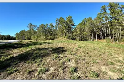 435 County Road 6324, Dayton, TX 77535 - Photo 2