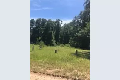 390 Story Drive, Livingston, TX 77351 - Photo 6