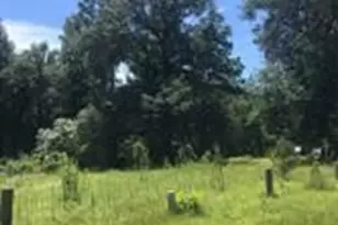 390 Story Dr, Livingston, TX 77351 - Photo 1