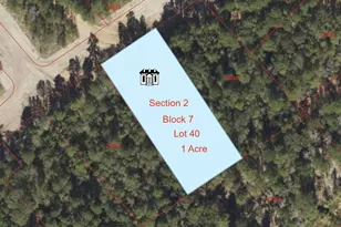 227 Eden Ct, New Waverly, TX 77358 - Photo 1