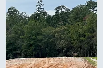 227 Eden Court, New Waverly, TX 77358 - Photo 10