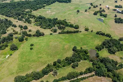 60 Acres Petri Lane, Madisonville, TX 77864 - Photo 4