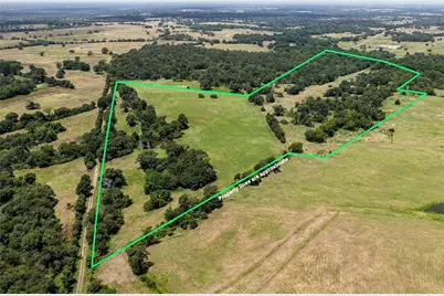 60 Acres Petri Lane, Madisonville, TX 77864 - Photo 2