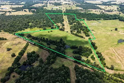 60 Acres Petri Lane, Madisonville, TX 77864 - Photo 10