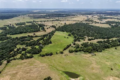 60 Acres Petri Lane, Madisonville, TX 77864 - Photo 1