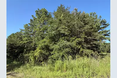 Tract 51 Black Cat Road, Sour Lake, TX 77659 - Photo 8