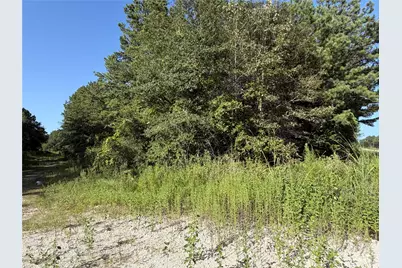 Tract 51 Black Cat Road, Sour Lake, TX 77659 - Photo 10
