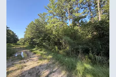 Tract 51 Black Cat Road, Sour Lake, TX 77659 - Photo 2
