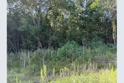 Tract 51 Black Cat Road, Sour Lake, TX 77659 - Photo 6