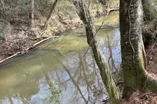 14670 Willis Waukegan Rd, Conroe, TX 77303 - Photo 20