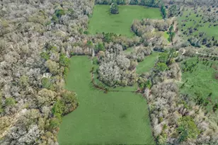 14670 Willis Waukegan Rd, Conroe, TX 77303 - Photo 10