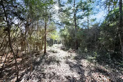 896 Pr 1318, Centerville, TX 75833 - Photo 12