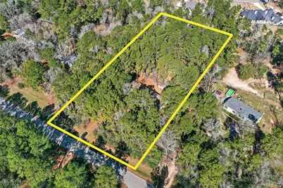 24800 Shady Oaks Boulevard, Montgomery, TX 77316 - Photo 42