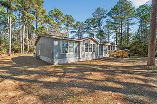 24800 Shady Oaks Blvd, Montgomery, TX 77316 - Photo 1