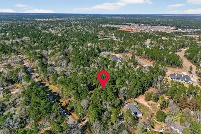 24800 Shady Oaks Boulevard, Montgomery, TX 77316 - Photo 48