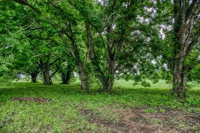 16401 Fm 1155 E, Washington, TX 77880 - Photo 20
