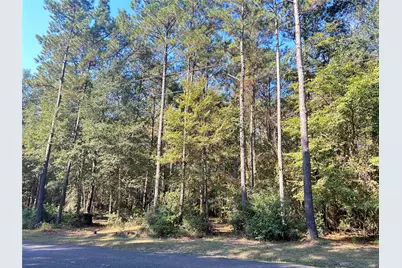 24445 Pipestem Drive, Magnolia, TX 77355 - Photo 14