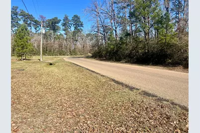 Tbd Hackberry Drive, Onalaska, TX 77360 - Photo 4