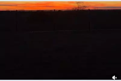 16211 Blue Mistflower Lane, Hockley, TX 77447 - Photo 2