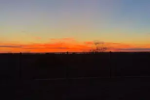 16211 Blue Mistflower Ln, Hockley, TX 77447 - Photo 2