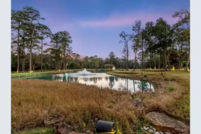 38262 Windy Ridge Trail, Magnolia, TX 77355 - Photo 14