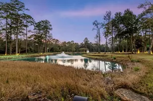 38262 Windy Ridge Trail, Magnolia, TX 77355 - Photo 14