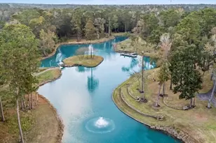 38262 Windy Ridge Trail, Magnolia, TX 77355 - Photo 8