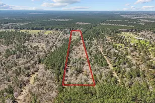 1151 County Line Rd, Shepherd, TX 77371 - Photo 38