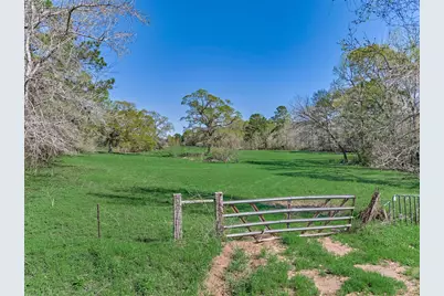Tbd Bailey Grove Rd, Montgomery, TX 77356 - Photo 2