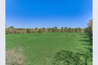 Tbd Bailey Grove Rd, Montgomery, TX 77356 - Photo 16