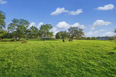 3515 County Road 36, Angleton, TX 77515 - Photo 46