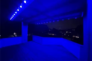 2029 Dunlavy St, Houston, TX 77006 - Photo 44