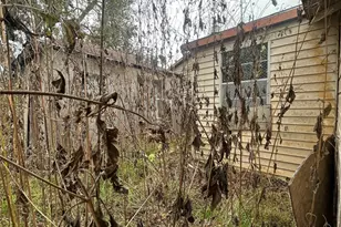 312 Willow St, Sweeny, TX 77480 - Photo 44