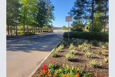 16843 Bristle Cone Way, Conroe, TX 77302 - Photo 34