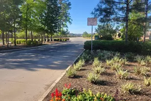 16843 Bristle Cone Wy, Conroe, TX 77302 - Photo 34