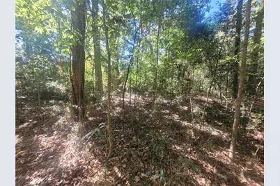 0 Lakeside Drive, Cleveland, TX 77327 - Photo 2