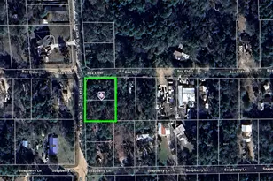 Tbd Live Oak Dr, Plantersville, TX 77363 - Photo 1