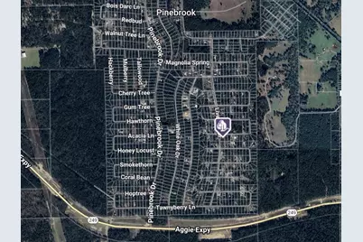 Tbd Live Oak Drive, Plantersville, TX 77363 - Photo 2