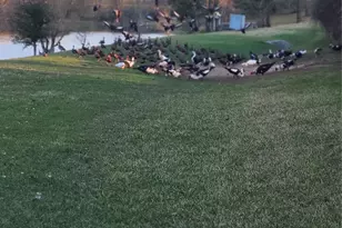 727 Slate Valley Ln, Spring, TX 77373 - Photo 26