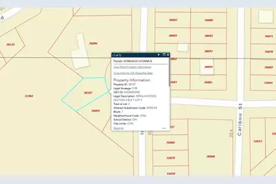 800 Impala Drive, Onalaska, TX 77360 - Photo 2