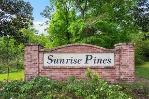 9922 Evans Brook Ln, Houston, TX 77044 - Photo 1