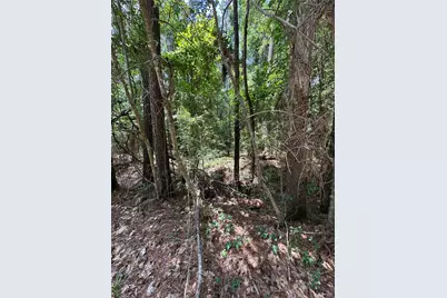 0 Royal Estates Dr, Conroe, TX 77303 - Photo 2