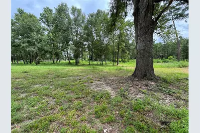 1263 Old Providence Road, Livingston, TX 77351 - Photo 8