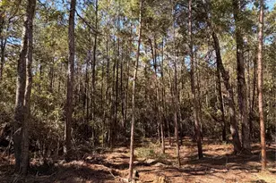 4578 Blue Agave Wy, Montgomery, TX 77316 - Photo 10